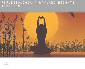 Riflessologia a Wayland Heights Addition