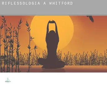 Riflessologia a  Whitford