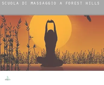 Scuola di massaggio a  Forest Hills