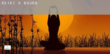 Reiki a Bourne