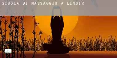 Scuola di massaggio a  Lenoir