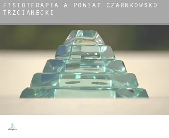 Fisioterapia a  Powiat czarnkowsko-trzcianecki