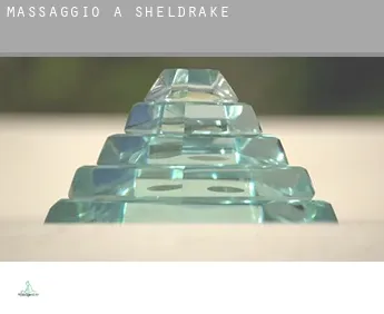 Massaggio a  Sheldrake