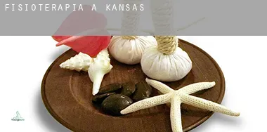 Fisioterapia a  Kansas
