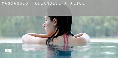 Massaggio tailandese a  Alice