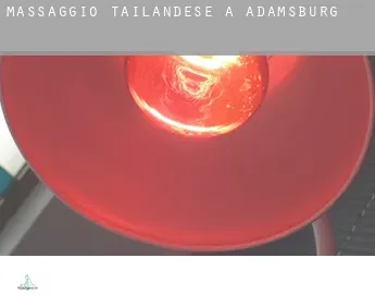 Massaggio tailandese a Adamsburg