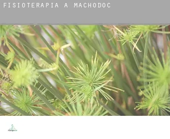 Fisioterapia a  Machodoc