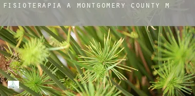 Fisioterapia a  Montgomery County