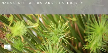 Massaggio a  Los Angeles County