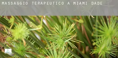Massaggio terapeutico a  Miami-Dade County