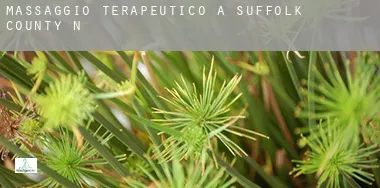 Massaggio terapeutico a Suffolk County