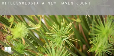 Riflessologia a New Haven County
