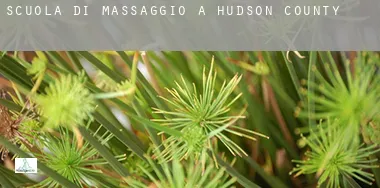 Scuola di massaggio a  Hudson County