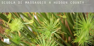 Scuola di massaggio a Hudson County