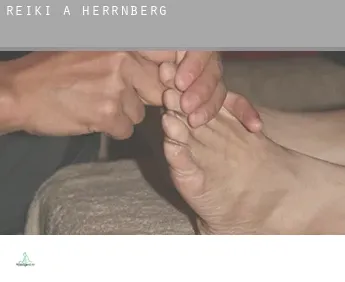 Reiki a  Herrnberg