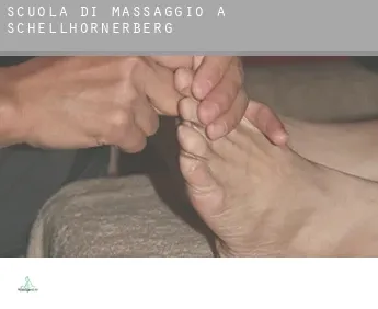 Scuola di massaggio a  Schellhornerberg
