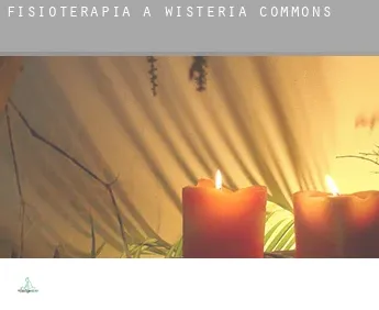 Fisioterapia a  Wisteria Commons