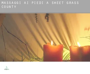 Massaggi ai piedi a  Sweet Grass County