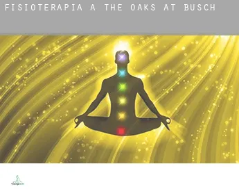 Fisioterapia a  The Oaks at Busch