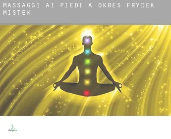 Massaggi ai piedi a  Okres Frydek-Mistek