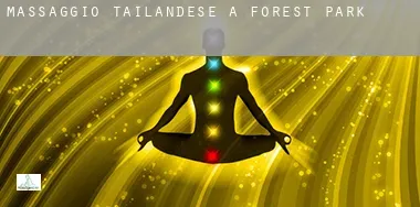 Massaggio tailandese a  Forest Park