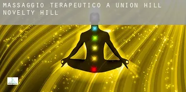 Massaggio terapeutico a Union Hill-Novelty Hill