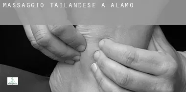 Massaggio tailandese a  Alamo
