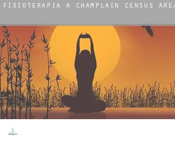 Fisioterapia a  Champlain (census area)