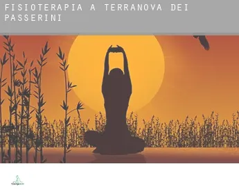 Fisioterapia a  Terranova dei Passerini