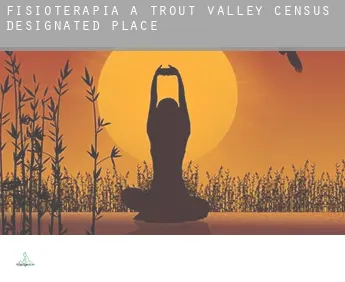 Fisioterapia a  Trout Valley