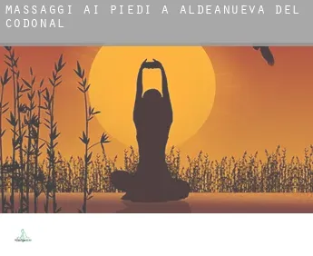 Massaggi ai piedi a  Aldeanueva del Codonal