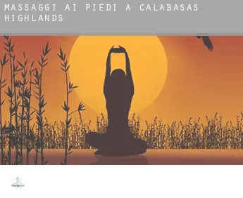 Massaggi ai piedi a  Calabasas Highlands