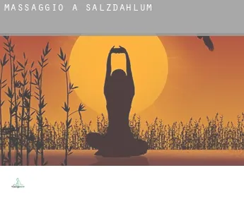 Massaggio a  Salzdahlum