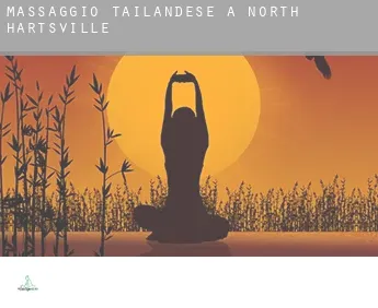 Massaggio tailandese a  North Hartsville