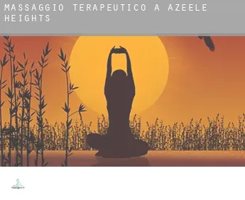 Massaggio terapeutico a Azeele Heights