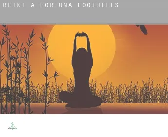 Reiki a  Fortuna Foothills