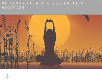 Riflessologia a  Bieglers First Addition