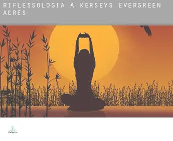Riflessologia a  Kerseys Evergreen Acres