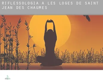 Riflessologia a  Les Loges de Saint-Jean des Chaumes