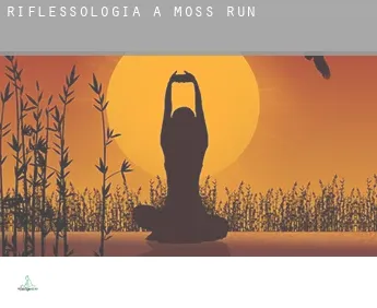 Riflessologia a  Moss Run