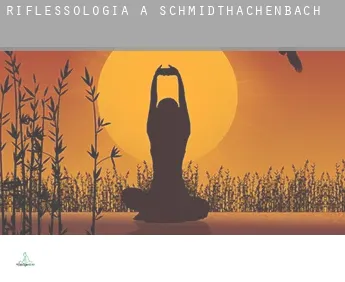 Riflessologia a  Schmidthachenbach