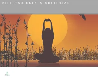 Riflessologia a  Whitehead