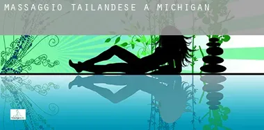 Massaggio tailandese a  Michigan
