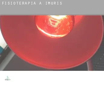 Fisioterapia a  Imuris