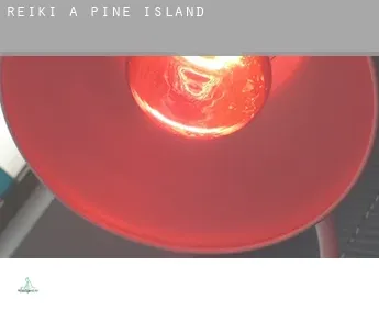 Reiki a  Pine Island