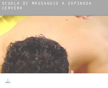 Scuola di massaggio a  Espinosa de Cervera