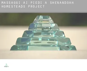 Massaggi ai piedi a  Shenandoah Homesteads Project