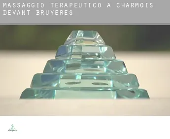 Massaggio terapeutico a  Charmois-devant-Bruyères