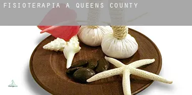 Fisioterapia a Queens County