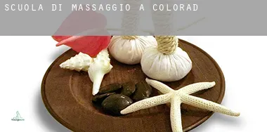 Scuola di massaggio a  Colorado